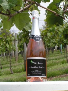 Lily Farm Vineyard's 2010 Sparkling Rose'