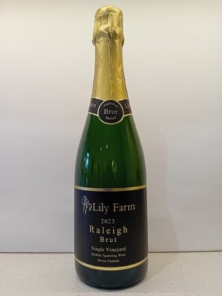 Raleigh Brut 2023