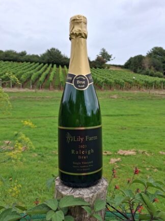 Raleigh Brut 2023