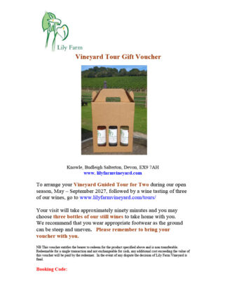 Guided Tour & Wine Gift Box