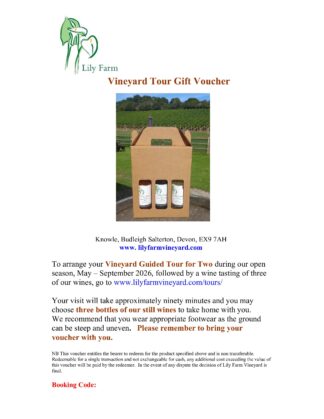 Guided Tour & Wine Gift Box