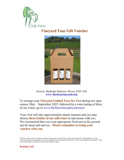 Guided Tour & Wine Gift Box