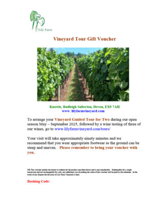 Vineyard Guided Tour For Two