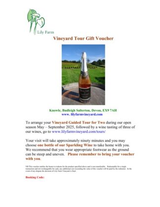 Guided Tour & Sparkling Wine -  Special Offer Through March & April Save £8.50