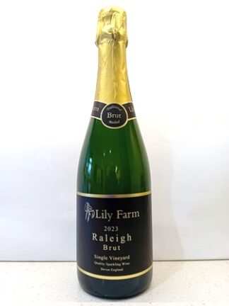 Raleigh Brut 2023