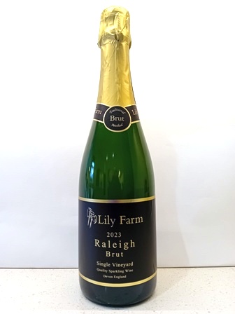 Raleigh Brut 2023